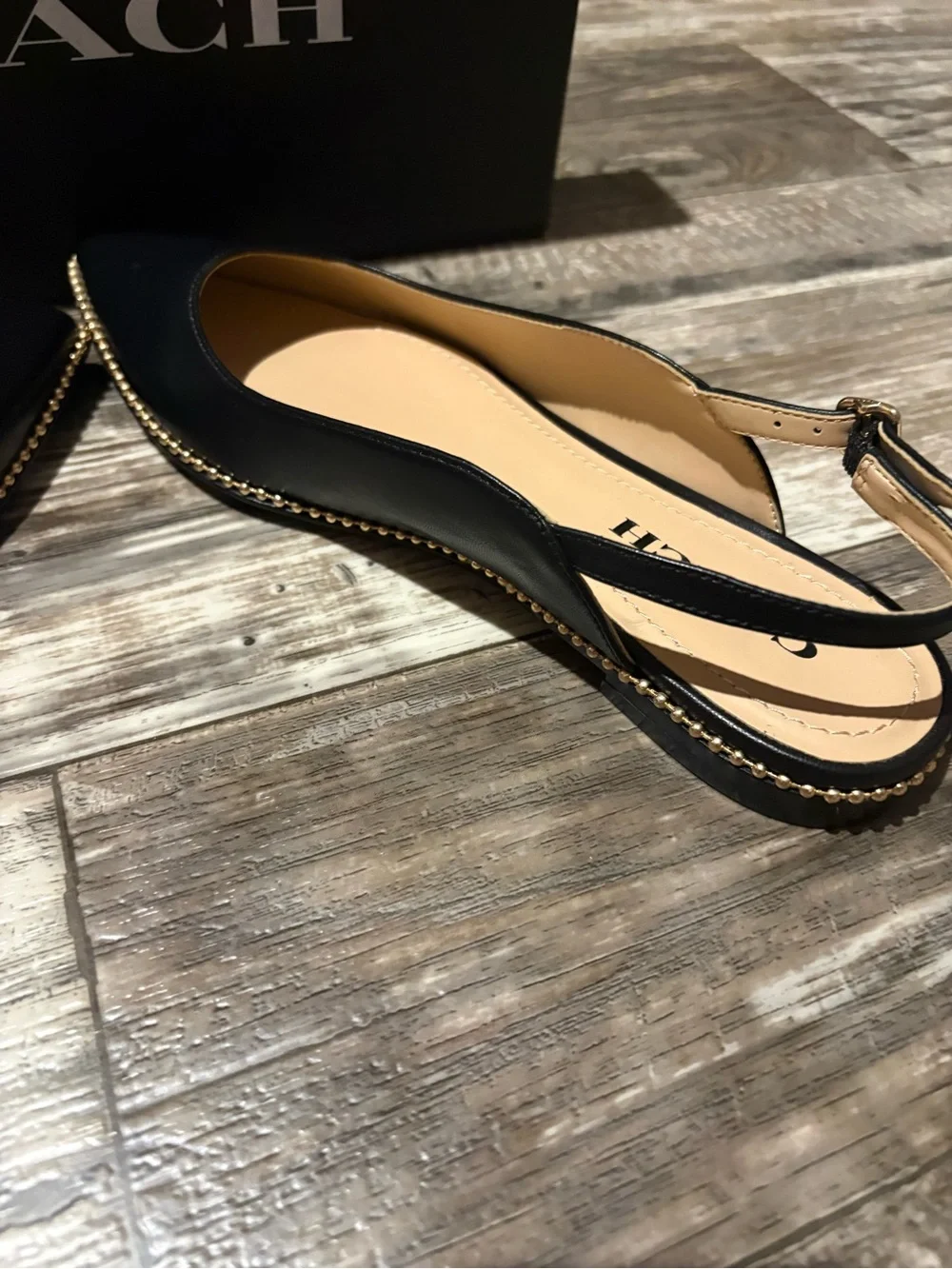 Coach Vae Skimmer Slingback Flat Sandals with Pointed Toe